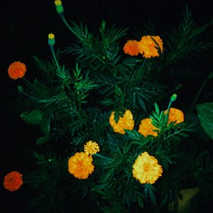 缘分不是一出门就能遇到的雨