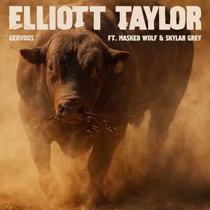 NERVOUS (ft. Masked Wolf & Skylar Grey)