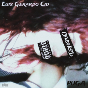 Puga