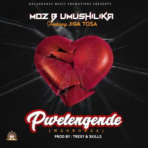Waononga (feat. Jiga Tosa)