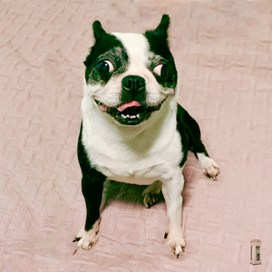 무지개 (feat. OLIVER)