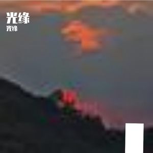心情如阳光中绽放的花朵