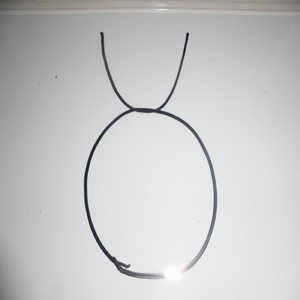 おうし座の範疇