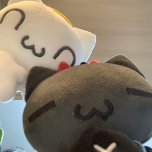 爱让善辩者沉默寡言