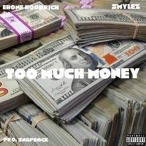 TOO MUCH MONEY (feat. Smylez)