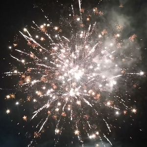 愿新年 胜旧年（DJ阿为 remix）