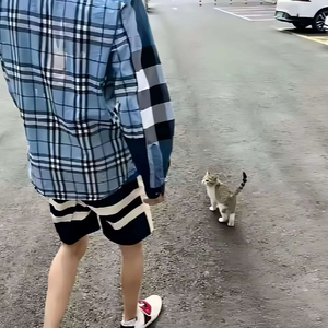 刘禹彤专属