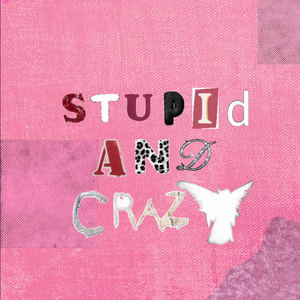 STUPID AND CRAZY
