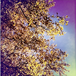 Ghostpark (From Ambient Works v1)