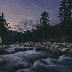 Creek Life