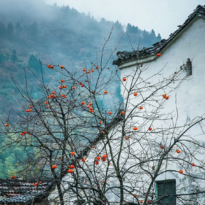 春夏秋冬的你（Cover 王宇良）