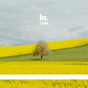 星星在唱歌（片段）