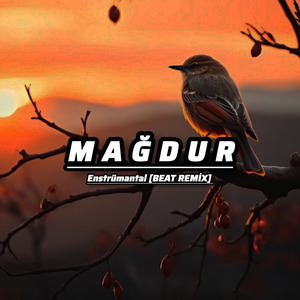 MAĞDUR (Beat Remix)