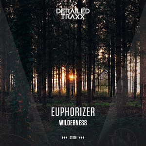 Wilderness (Extended Mix)