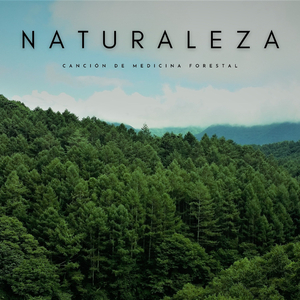 Bosque Silbador