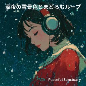 雪明かりだけが照らす深夜の街