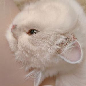 这是你想要的生活吗