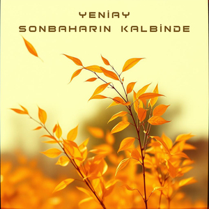 Sonbaharın kalbinde (Live)