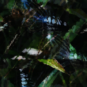 Coleoptera