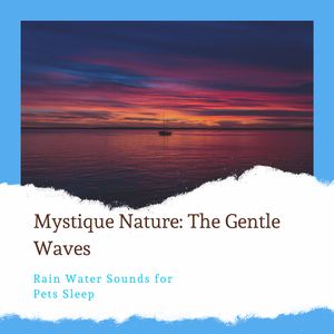 Morning Nature Small Birds