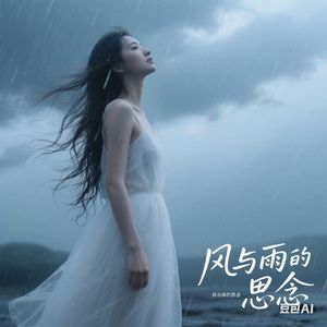 风与雨的思念 伴奏