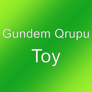 Toy