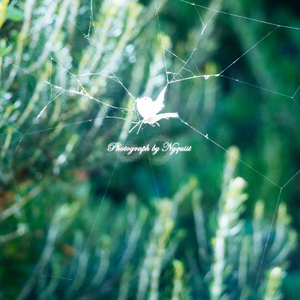 BTS - Ma City (Yuqing Remix)