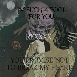 I'm Such a Fool for You (You Promised Not to Break My Heart) [feat. Dhan]