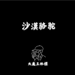 展展与罗罗-沙漠骆驼 钢琴曲（大魔王林憬 remix）