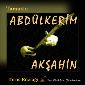 Bekledim Kaç Gece