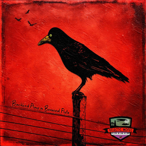 Eye of the Hurricane