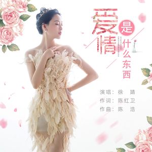 爱情是什么东西 （DJ彭锐版广场舞版）