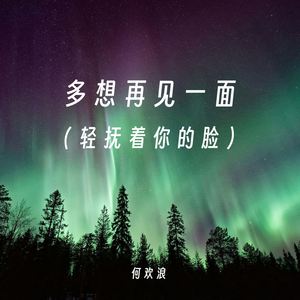 多想再见一面 (轻抚着你的脸)