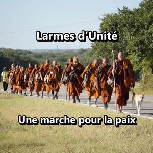 Larmes d’Unité Une marche pour la paix