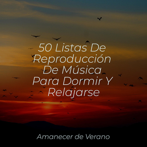 El hechizo hipnótico del prisma místico