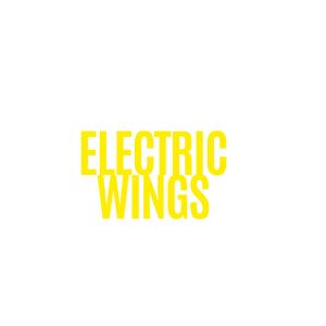Electric Wings (feat. Chalemion)