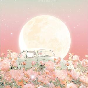 花语（婴儿哄睡神曲）