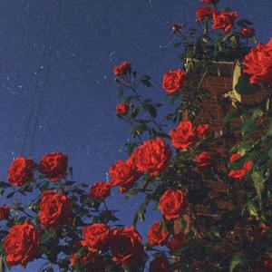 you're the stranger.