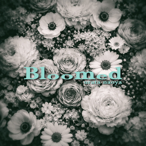Bloomed