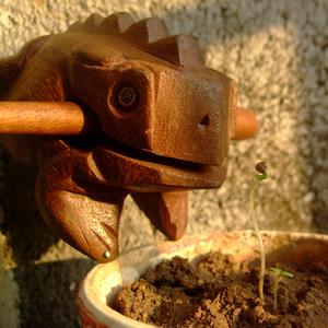 二月里来打过春