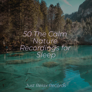 Melancholy Dance of Nature