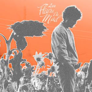 Freestyle dans son logis (feat. Parazz, Matho, JoniJones & A2nubis)