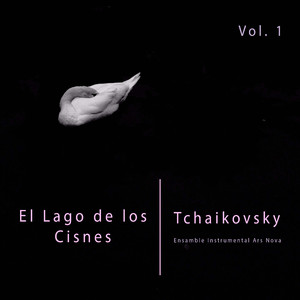 El Lago de los Cisnes (Introducción a la Escena), Op. 20