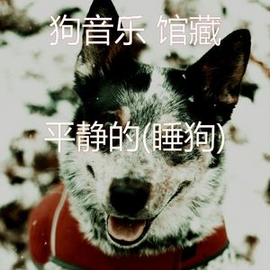 极好(睡狗)