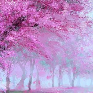 云宫迅音（黑神话：悟空）