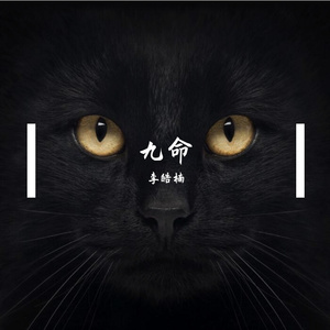 九命-李皓楠