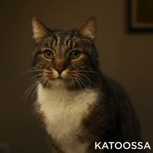 Katoossa