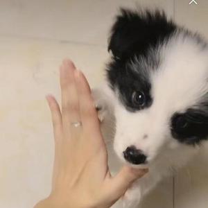 YoungPaine-SAYONARA（YoungPaine remix）