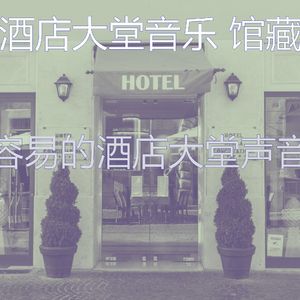 抚慰的酒店酒吧回忆