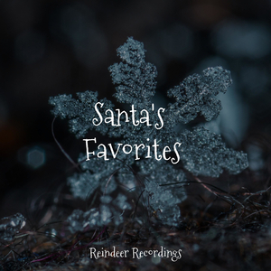 Wonders of the Season